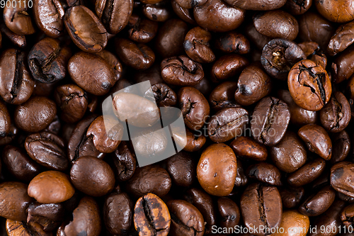 Image of Roasted Brown coffee bean