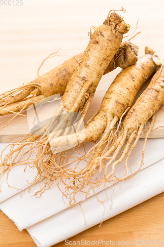 Image of Korean Fresh Ginseng 