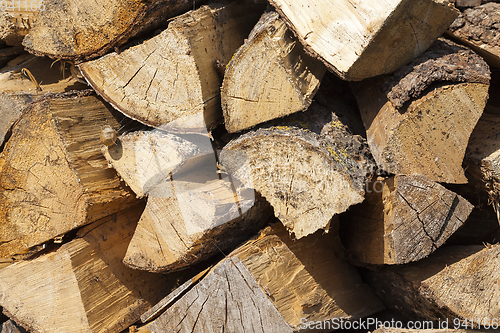 Image of Trunk of a sawn wood