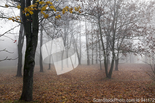 Image of autumn