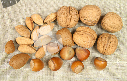 Image of Nuts variety