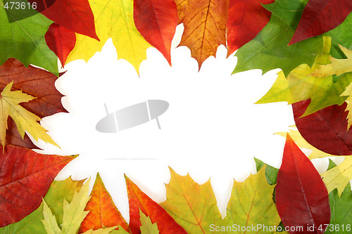 Image of Autumn leaves design