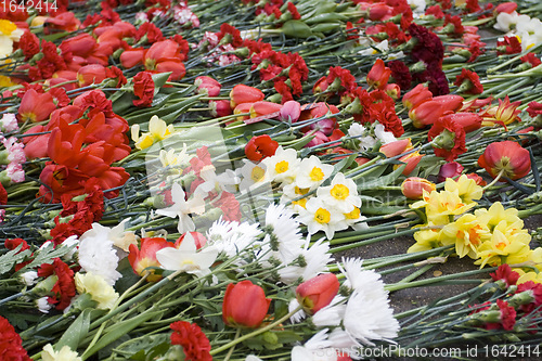 Image of Celebration of Victory Day (Eastern Europe) in Riga