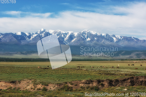 Image of Panorama of Altai mountains with river