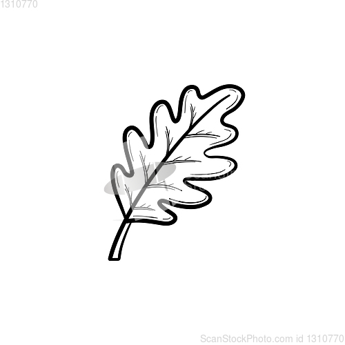 Image of Oak leaf hand drawn sketch icon.