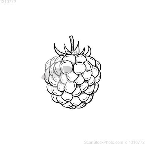 Image of Raspberry hand drawn sketch icon.