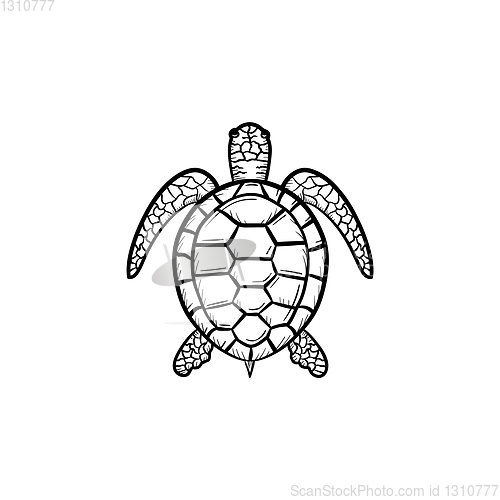 Image of Turtle hand drawn sketch icon.