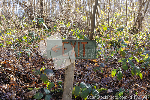 Image of Painted wooden exit sign points left in woodland