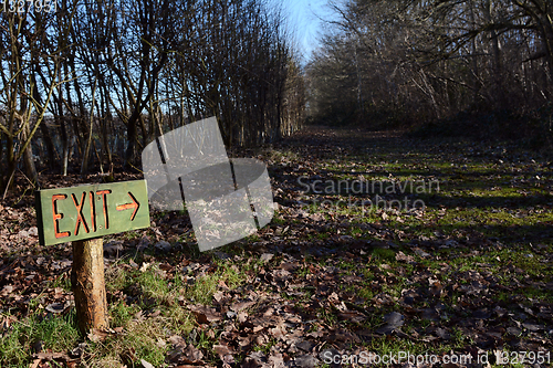 Image of Wooden exit sign points down long woodland path
