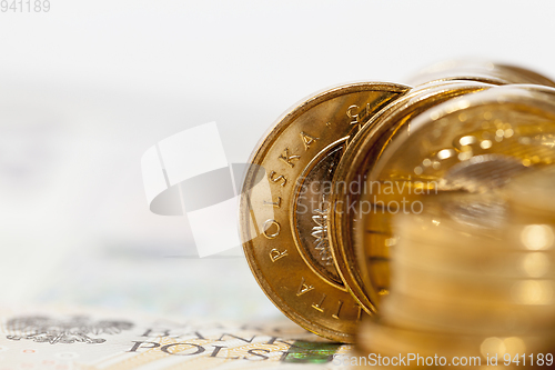Image of Polish money, close-up