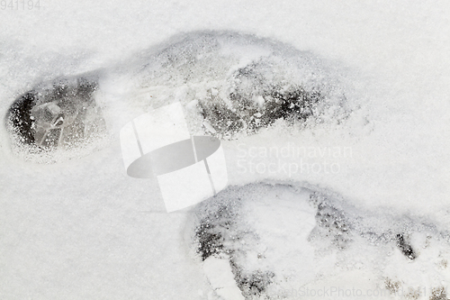 Image of Snow drifts in winter