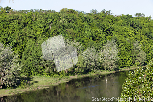 Image of river and deciduous trees