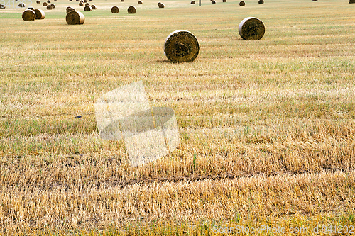 Image of stack of straw
