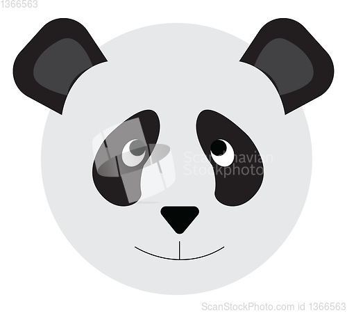 Image of Face of a cute panda vector or color illustration