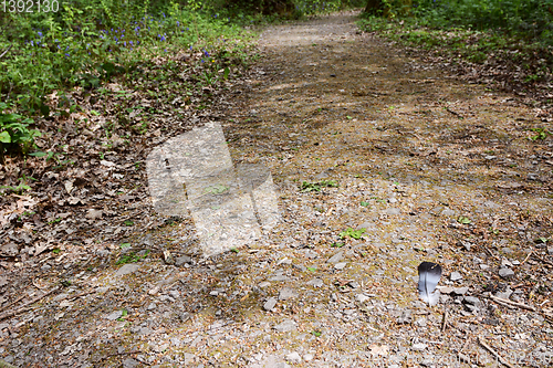 Image of Wood pigeon feather lies on a wide stony path in woodland