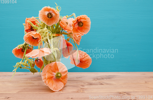 Image of Numerous beautiful cut pink poppies with long winding stems