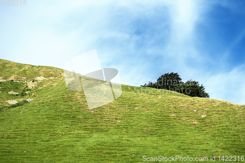 Image of typical rural landscape in New Zealand