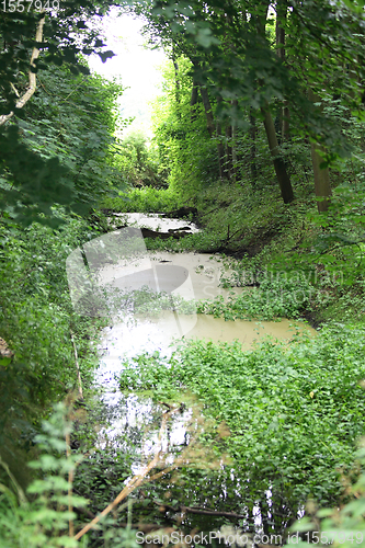 Image of Tümpel  pond 