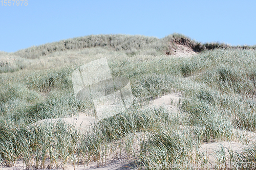 Image of Dünen Dunes 