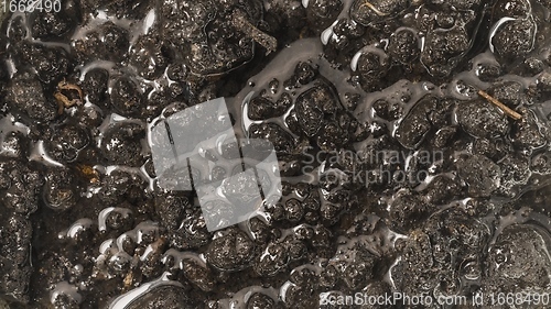 Image of Wet soil undulating closeup footage as texture