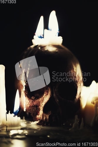 Image of Human skull in candle light closeup