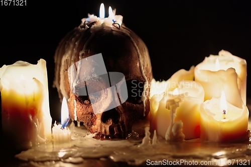 Image of Human skull against dark background in candle light closeup