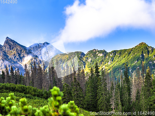 Image of Polish Tatra mountains summer landscape with blue sky and white clouds.