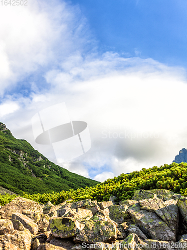 Image of Polish Tatra mountains summer landscape with blue sky and white clouds.