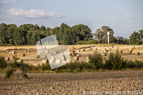 Image of Farmland with Ray Rolls and Plowed Land