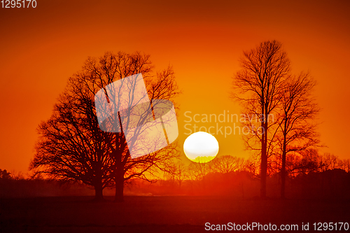 Image of Red orange light on sunset sky over the trees. 