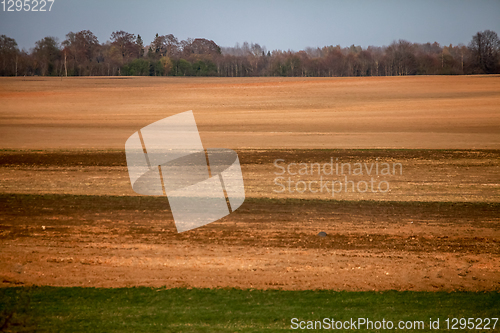Image of Plowed field in spring season.