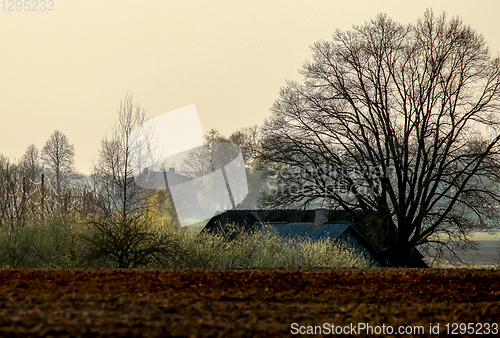 Image of Plowed field in spring season.