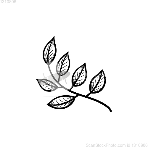 Image of Leaves on branch hand drawn sketch icon.