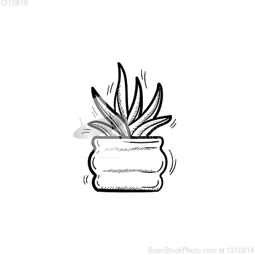 Image of Sansevieria trifasciata hand drawn sketch icon.