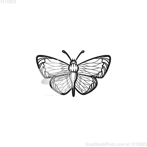 Image of Butterfly hand drawn sketch icon.