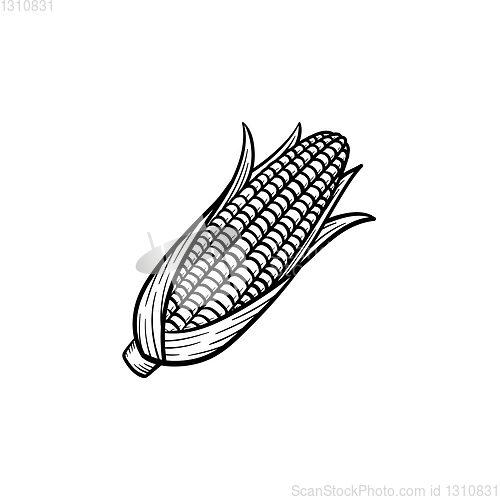 Image of Popcorn corn cob hand drawn sketch icon.