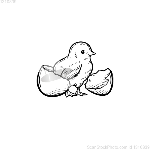 Image of Chick hand drawn sketch icon.