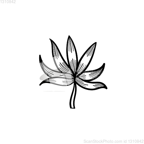 Image of Plant leaf hand drawn sketch icon.