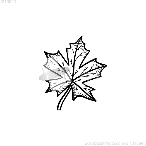 Image of Maple leaf hand drawn sketch icon.