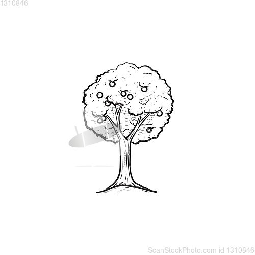 Image of Fruit tree hand drawn sketch icon.