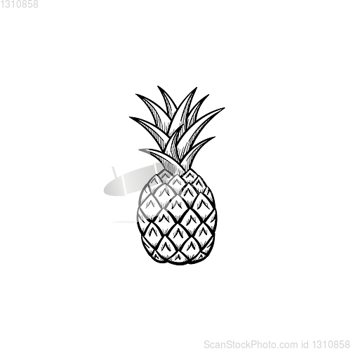 Image of Pineapple hand drawn sketch icon.