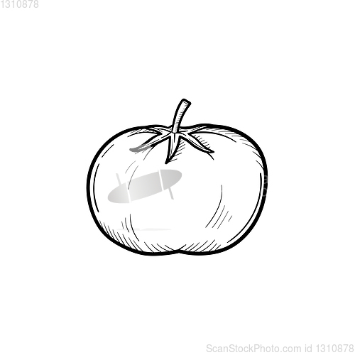 Image of Tomato hand drawn sketch icon.
