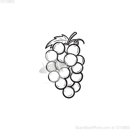 Image of Bunch of grapes hand drawn sketch icon.
