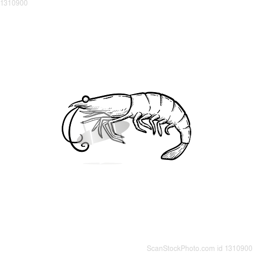 Image of Shrimp hand drawn sketch icon.