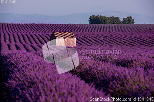 Image of stone house at lavender field