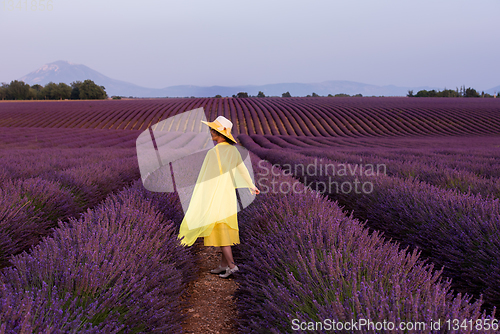 Image of asian woman in yellow dress and hat at lavender field