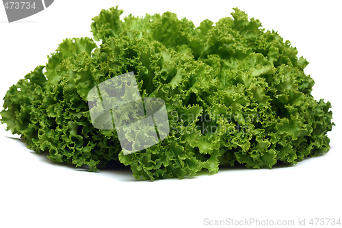 Image of Green lettuce