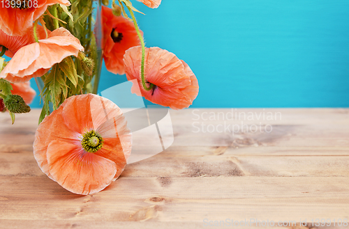 Image of Pink poppies cascading from a glass vase on winding stems