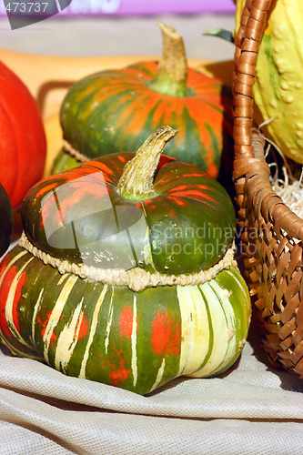 Image of Fancy pumpkin