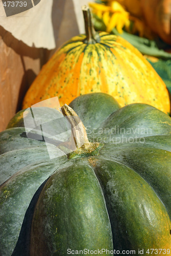 Image of Fancy pumpkins